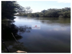 Fazenda com 54 hectares, terra bruta