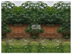 Terreno de (13x30), no horto, plano, murado
