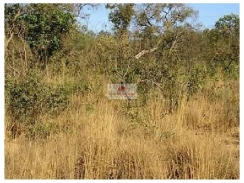  Fazenda de 3000 hectares, terra bruta, cerrado, próprio para compensação de reserva legal