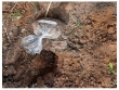 Fazenda na região de Caxias-MA, com 2.853 hectaare