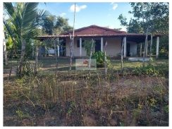 Sitio em Demerval Lobão, 10 hectares, com casa, energia, margem do rio Poty