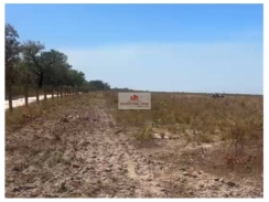 Fazenda na região de Piracuruca, com 464 hectares, com 260 hectares abertos, dupla aptidão